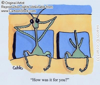 Illustration for article titled The Female Praying Mantis Was Framed!